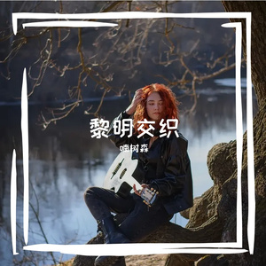 黄昏长空 [高质量]