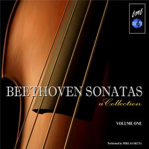 Piano Sonata No. 7 in D Major, Op. 10, No. 3: III.Menuetto: Allegro