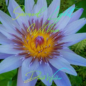 Sacred Light Within