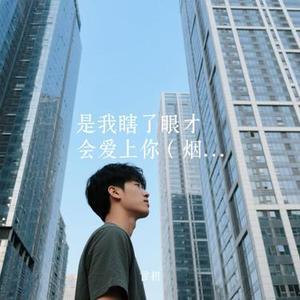是我瞎了眼才会爱上你