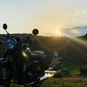 孤独的人无处可往