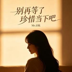 别再等了 珍惜当下吧 (烟嗓版)