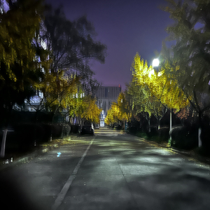 留下语言