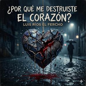 ¿por qué me destruiste el corazòn?