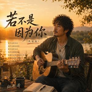 若不是因为你(民谣版)