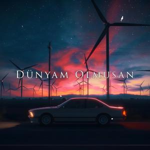 Dünyam Olmusan