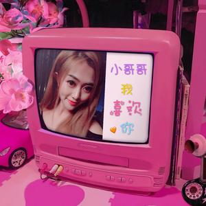 小哥哥我喜欢你(Demo)