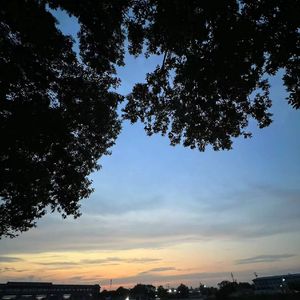 阳光不燥微风正好_樱花-20240801-下午63914