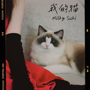 我的猫