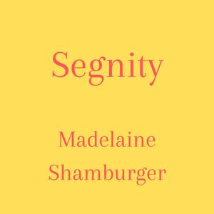 Segnity