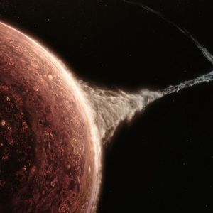 Journey Of Hope