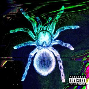 Tarantula