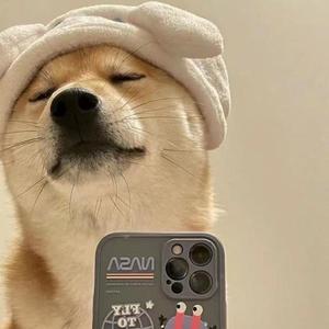 雨都停了这片天灰什么呢