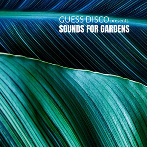 Samba Tattoo (Pietro Nicosia Remix)