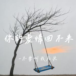你的爱情回不来