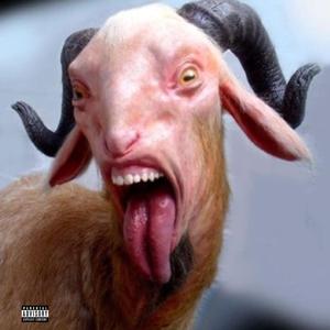 goat!