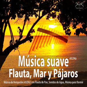 Namaste - enviar y recibir luz radiante con música de flauta en la naturaleza tranquila