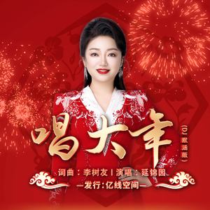 唱大年 (Dj默涵版伴奏)