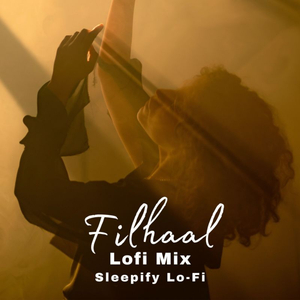 Filhaal2 Mohabbat (Lofi Mix)