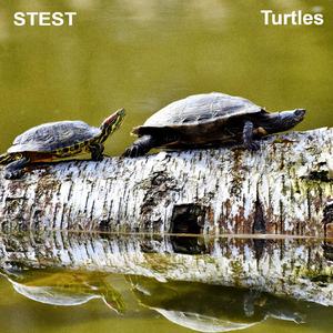 Turtles