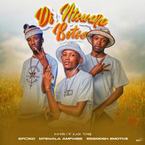 Dintshwara Botse (feat. Poobington) (Official Audio)