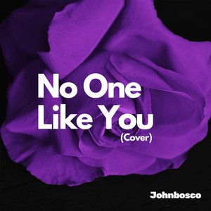 No One Like You (Cover)