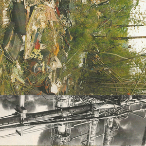 Mislocated