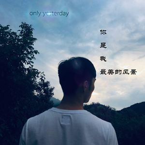 你是我最美的风景