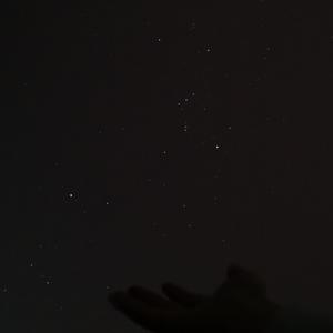 晚安，愿你遇到的未知都曼妙