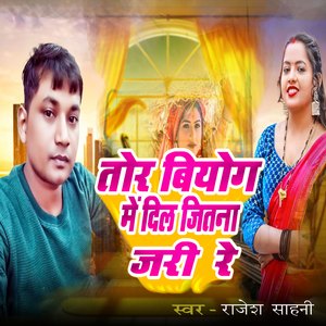 Tor Biyog Me Dil Jitana Jari Re
