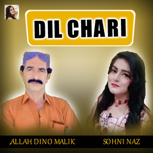 Dil Chari