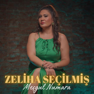 Meşgul Numara