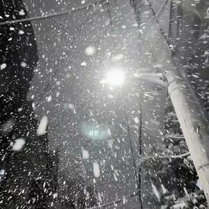 一年级的小偷二年级的贼