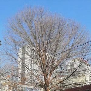 她的眼睛又亮又湿润好像世界上最小的海洋.