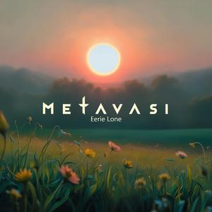 Metavasi