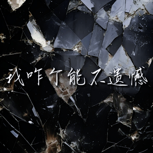 我咋个能不遗憾