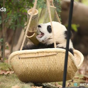 快乐就是那么简单