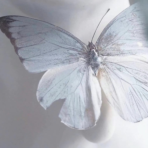 Butterfly（女声版）