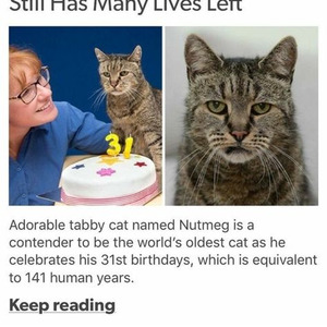 Phat Planet (slowed)