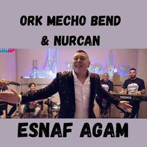 Esnaf Agam