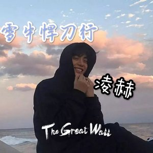 雪中悍刀行.