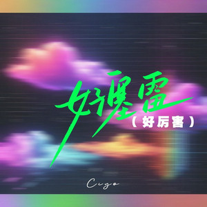 好塞雷 (好厉害DJ沈念版伴奏)