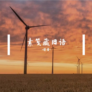 江波摇月影