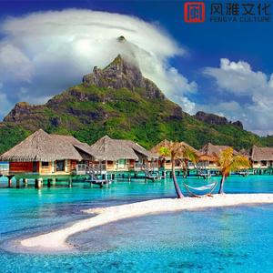 薄荷与猫夏天 (古筝)