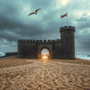Bird in the stormy sky