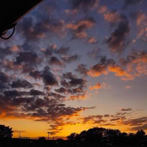 可以回头看但别往回走