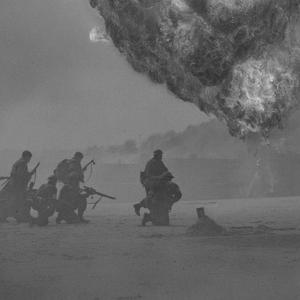 This Concrete Jungle