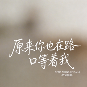 原来你也在路口等着我 （原版）