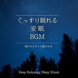 森の風景の調べ