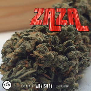 Zaza